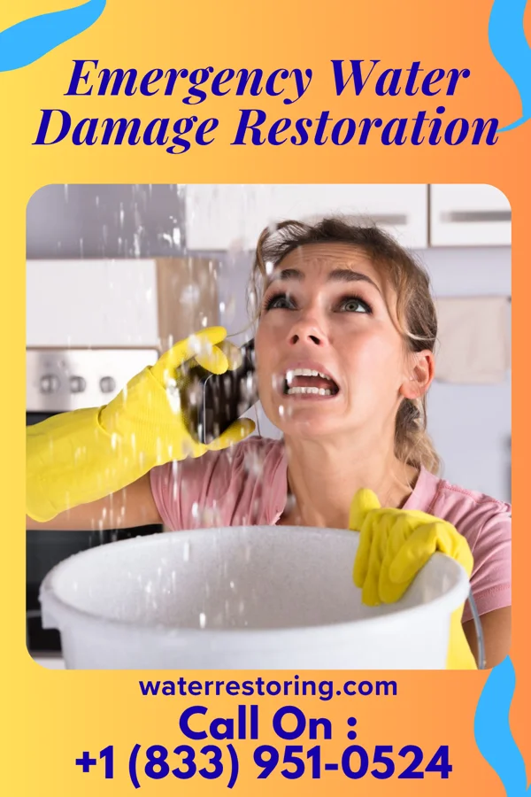 Emergency Water Damage Restoration in Shelbyville, KY