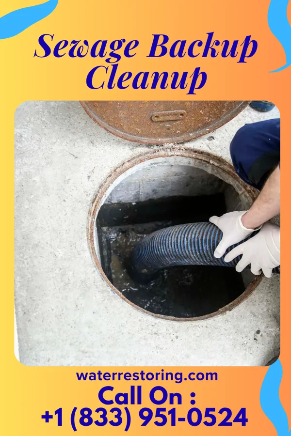 Sewage Backup Cleanup in Shelbyville, KY