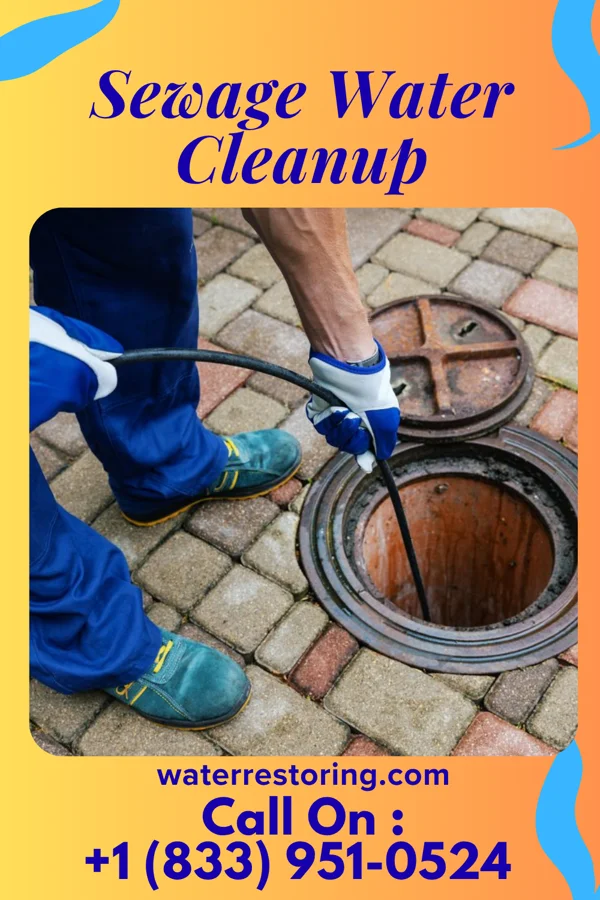 Sewage Water Cleanup in Shelbyville, KY